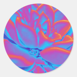 Rainbow-Farbe Sukkuläre Pflanze Runder Aufkleber