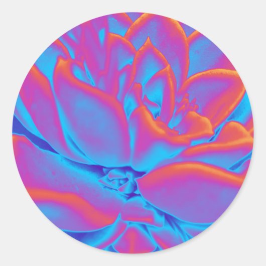 Rainbow-Farbe Sukkuläre Pflanze Runder Aufkleber (Vorderseite)