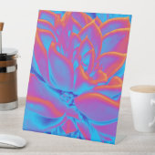 Rainbow-Farbe Sukkuläre Pflanze Sockelschild (In Situ)