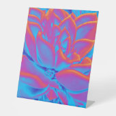 Rainbow-Farbe Sukkuläre Pflanze Sockelschild (Vorderseite)