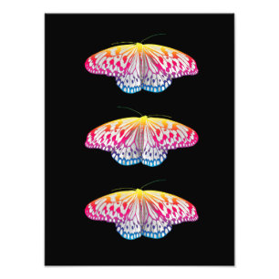 Rainbow-farbene Schmetterlinge Fotodruck