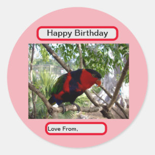 Rainbow Feathers: Hübsches australisches Lorikeet, Runder Aufkleber
