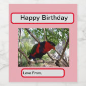 Rainbow Feathers: Hübsches australisches Lorikeet, Weinetikett (Einzelnes Label)