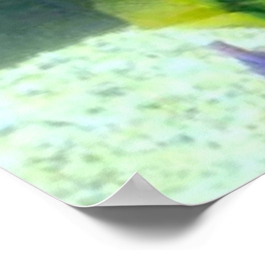 Rainbow Fish Poster (Ecke)