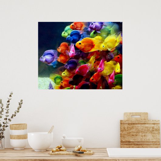 Rainbow Fish Poster (Küche)