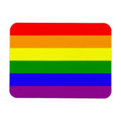 Rainbow-Flag-Magnet Magnet (Horizontal)