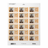 Rainbow Foto Bright Boho Rücksendeadresse Adressaufkleber (Vorne)