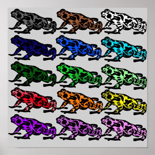 Rainbow Frosch Chart Poster (Vorne)