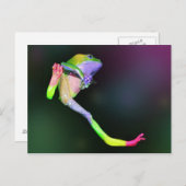Rainbow Frosch Postkarte (Vorne/Hinten)