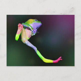 Rainbow Frosch Postkarte
