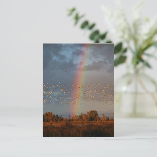 Rainbow & Gänse Postkarte (Stehend Vorderseite)