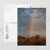 Rainbow & Gänse Postkarte (Vorne/Hinten)