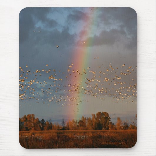 Rainbow & Geese Mousepad (Vorne)