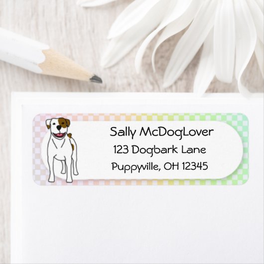 Rainbow Gingham American Bulldog (Insitu)