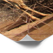 Rainbow & Giraffe Poster / Print (bis zu 35x52 Zol (Ecke)