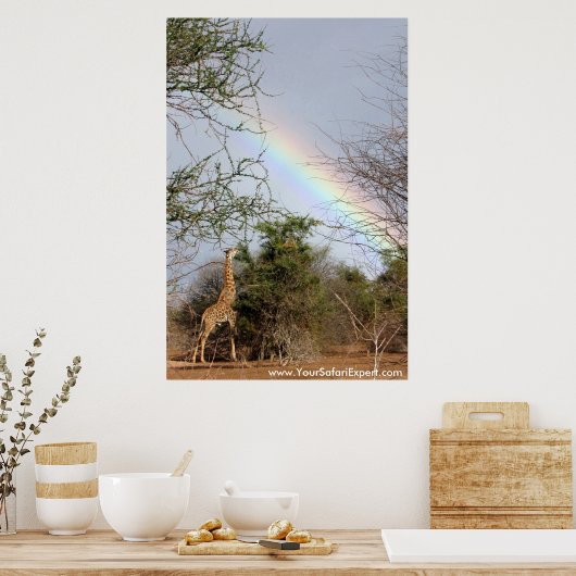 Rainbow & Giraffe Poster / Print (bis zu 35x52 Zol (Küche)