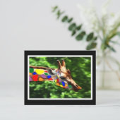 Rainbow Giraffe Postkarte (Stehend Vorderseite)