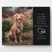 Rainbow Glitzer Black Foto Pet Memorial Fotoplatte (Vorderseite)