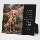 Rainbow Glitzer Black Foto Pet Memorial Fotoplatte (Seite)