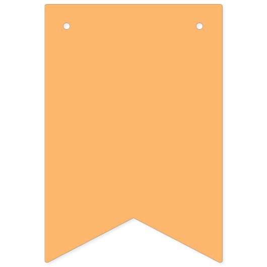 Rainbow Gradient Theme Party Banner Flags (Zweite Fahne)