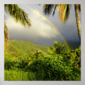 Rainbow-Hakipuu Poster (Vorne)