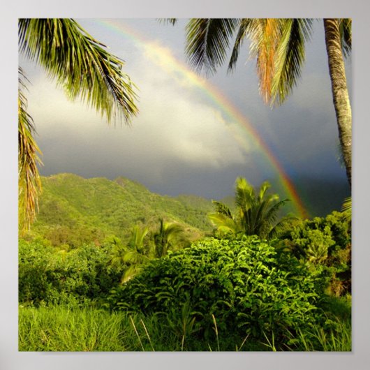 Rainbow-Hakipuu Poster (Vorne)