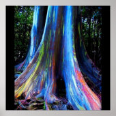 RAINBOW HAWAII EUCALYPTUS TREE-Plakat Poster (Vorne)