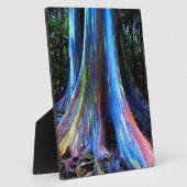 RAINBOW HAWAII EUCALYPTUS TREM FOTOPLATTE (Seite)
