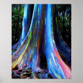 RAINBOW HAWAII EUCALYPTUS TREM POSTER (Vorne)