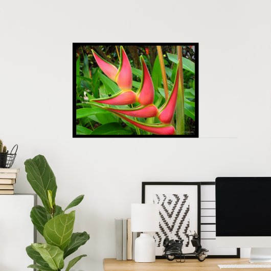 Rainbow Heliconia Blume Poster Prints (Heimbüro)