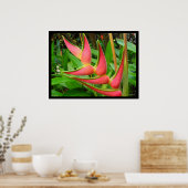 Rainbow Heliconia Blume Poster Prints (Küche)