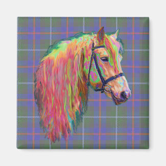 Rainbow Highland Pony auf Tartan, passen Sie mich  Magnet