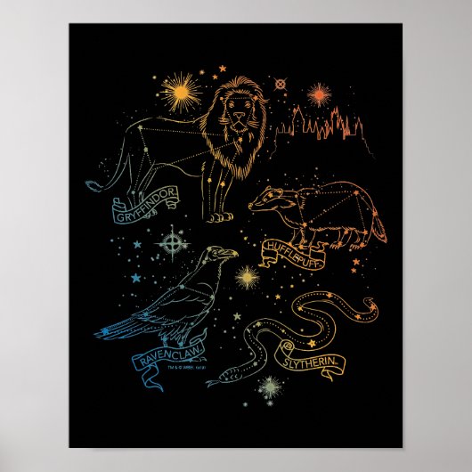 Rainbow HOGWARTS™ Houses Constellations Poster (Vorne)
