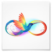 Rainbow Hummingbird mit dem Symbol Unendlichkeit Fotodruck (Vorne)
