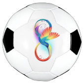 Rainbow Hummingbird mit dem Symbol Unendlichkeit Fußball (Gedreht)