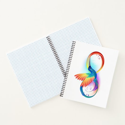 Rainbow Hummingbird mit dem Symbol Unendlichkeit Notizblock (Innenseite)