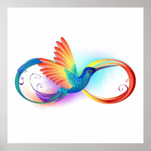 Rainbow Hummingbird mit dem Symbol Unendlichkeit Poster