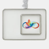 Rainbow Hummingbird mit dem Symbol Unendlichkeit Rahmen-Ornament Silber (Vorderseite)