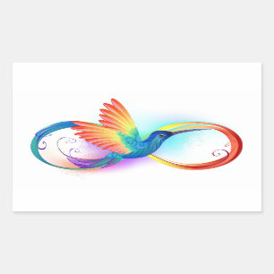 Rainbow Hummingbird mit dem Symbol Unendlichkeit Rechteckiger Aufkleber