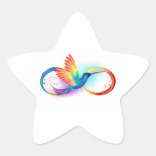 Rainbow Hummingbird mit dem Symbol Unendlichkeit Stern-Aufkleber