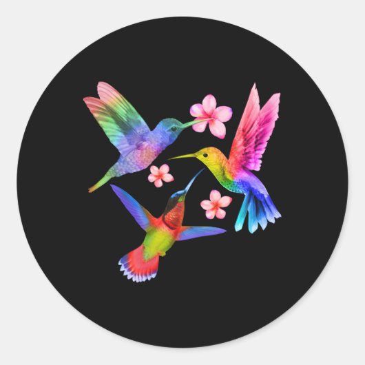Rainbow Hummingbird Wasserfarbe Runder Aufkleber (Vorderseite)