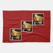 Rainbow Indigo Geschirrtuch (Horizontal)