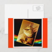 Rainbow Indigo Postkarte (Vorne/Hinten)