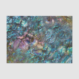 Rainbow Iridescent Abalone Beach Sea Muschel Seidenpapier