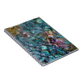 Rainbow Iridescent Abalone Sea Muschel Notizblock (Rechte Seite)