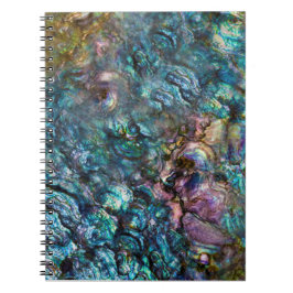 Rainbow Iridescent Abalone Sea Muschel Notizblock