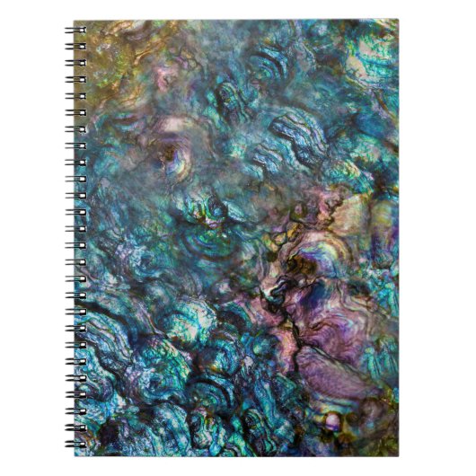 Rainbow Iridescent Abalone Sea Muschel Notizblock (Vorderseite)