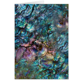 Rainbow Iridescent Abalone Sea Muschel Vielen Dank