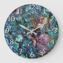 Rainbow Iridescent Abalone Sea Shell