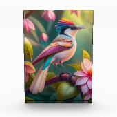 Rainbow-Jay Fantasy Bird Fotoblock (Vorderseite)